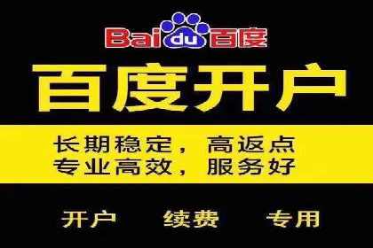不同平台的SEM广告投放比较及成功案例分析